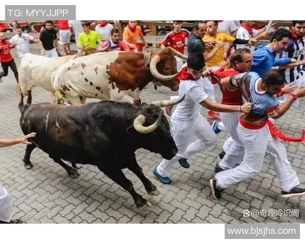 你不知道的公牛：十大冷知识大揭秘